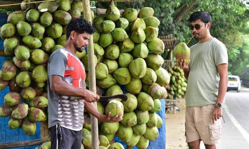 A man drinks coconut water at a roadside stall in Morigaon district of India's northeastern state of Assam, Sept. 2, 2023. Photo: Xinhua