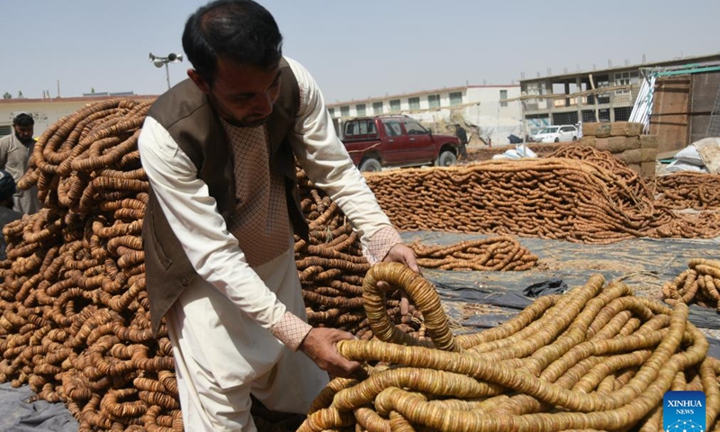 A man arranges dried figs at a market in Kandahar province, Afghanistan, Sept. 4, 2023. Figs are widely grown in southern Kandahar and the neighboring Helmand and Zabul provinces. The sweet fruit is used as a medicine in traditional homeopathic treatment in the war-torn country.(Photo: Xinhua)