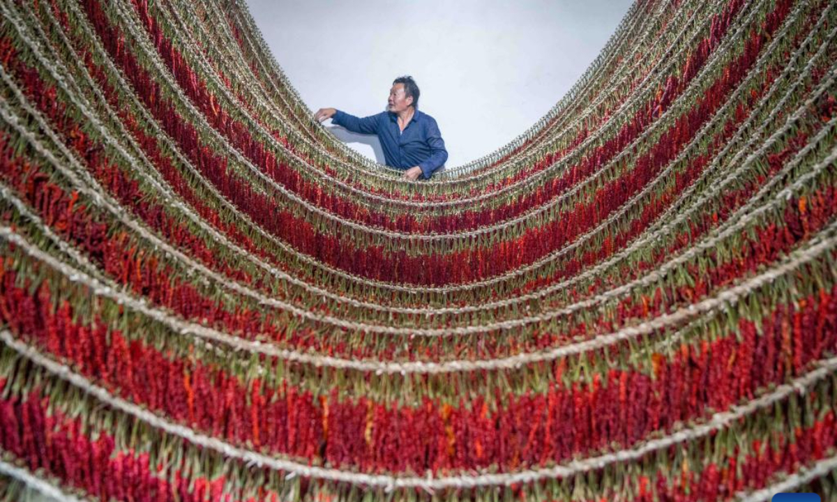 A villager checks hot peppers being dried in Jinji Village of Dafang County, southwest China's Guizhou Province, Sep 13, 2023. Photo:Xinhua