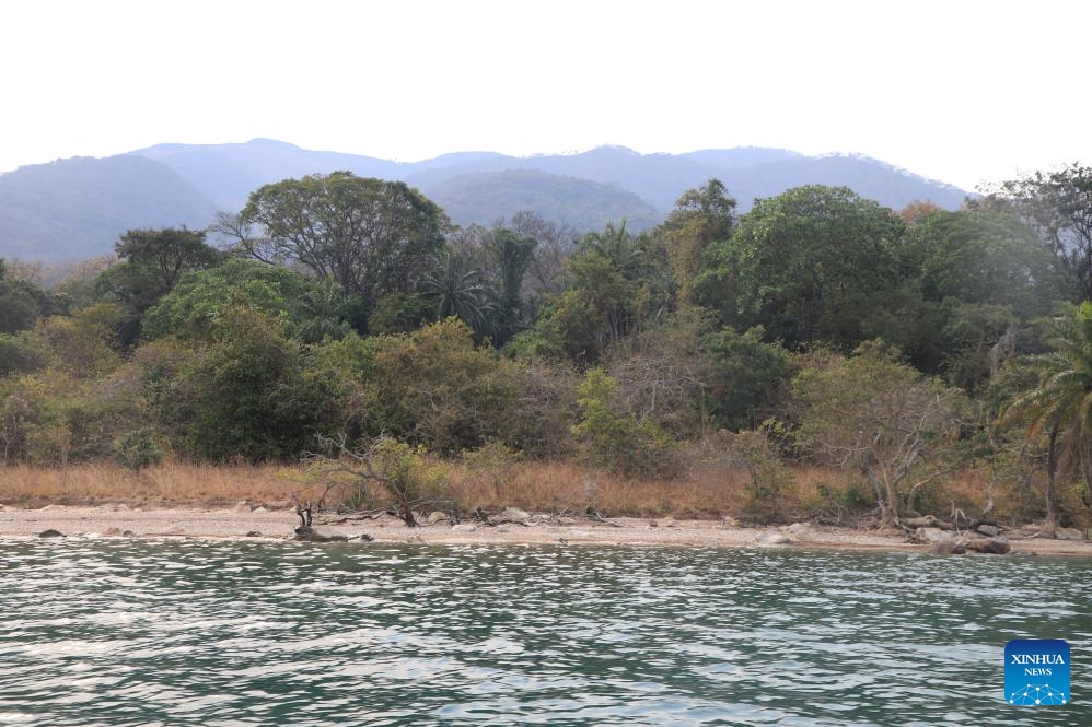 This photo taken on Sept. 2, 2023 shows a view of Gombe National Park in Tanzania. Located in northwestern Tanzania, Gombe National Park is one of Tanzania's smallest national parks, but rich in flora and fauna including the endangered chimpanzees.(Photo: Xinhua)