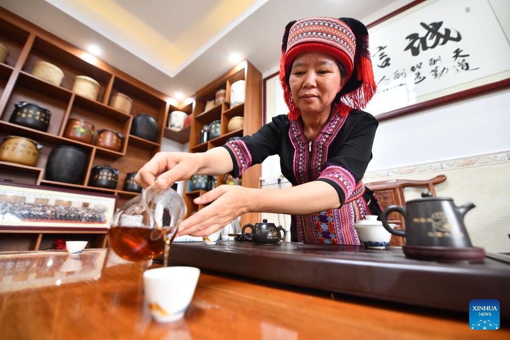 Tea master Zhu Xuelan brews tea in a studio in Liubao Town of Cangwu County in Wuzhou City, south China's Guangxi Zhuang Autonomous Region, June 7, 2023. Liubao tea, a Chinese dark tea characterized by its strong and lingering fragrance and medical effects, boasts a history of more than 1,500 years.(Photo: Xinhua)