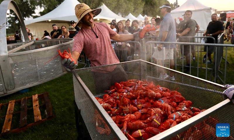 Cooked lobsters are seen during the Original Lobster Festival in Fountain Valley, California, the United States, on Sept. 8, 2023.  Photo: Xinhua