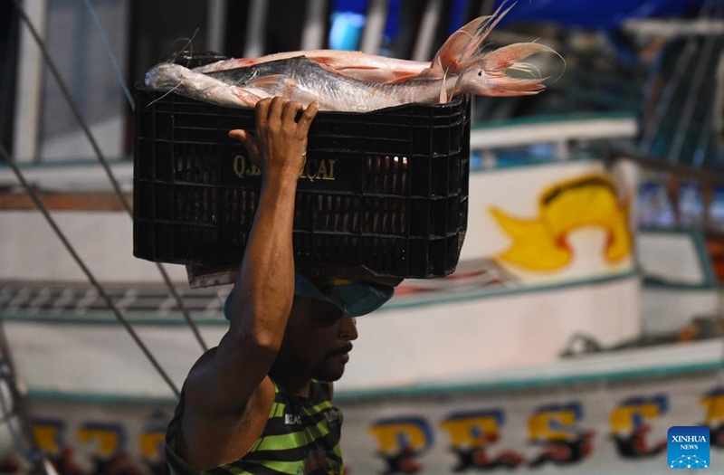 A fisherman carries a box of fish at Ver-o-Peso fish market in Belem, state of Para, Brazil, Sept. 9, 2023. Photo: Xinhua