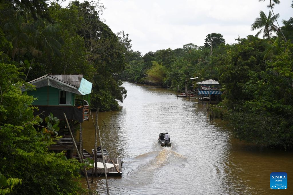 Local residents sail on a boat in the Guama River in Belem, state of Para, Brazil, Sept. 10, 2023(Photo: Xinhua)