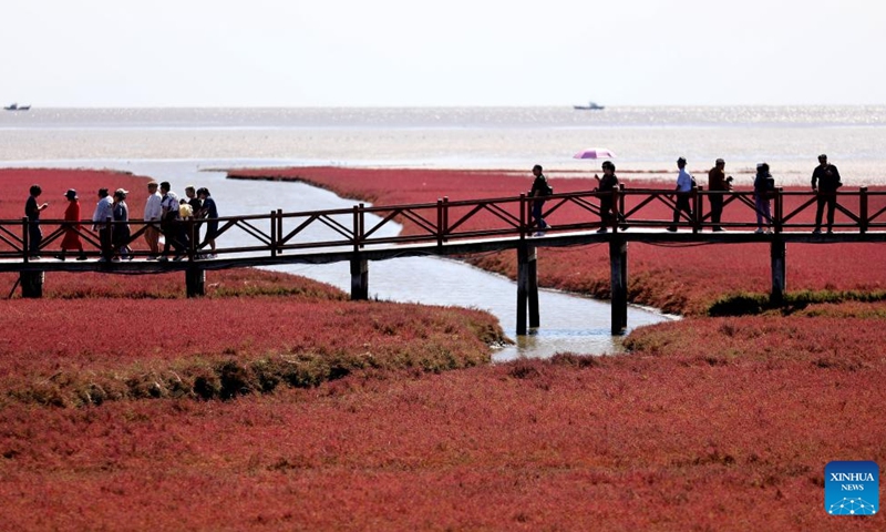 Honghaitan Red Beach In Ne Chinas Panjin Attracts Tourists For Unique