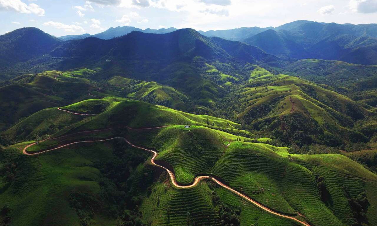 The aerial view of the Ai Ni coffee farm. Photo: Courtesy of the Ai Ni Group