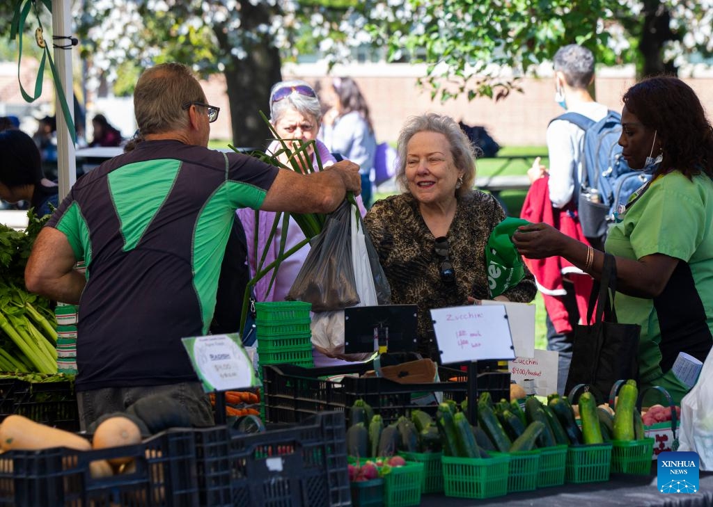 People shop at a farmers' market in Toronto, Canada, on Sept. 19, 2023. Canada's consumer price index (CPI) rose 4 percent in August year over year, following a 3.3 percent increase in July, Statistics Canada said Tuesday.(Photo: Xinhua)