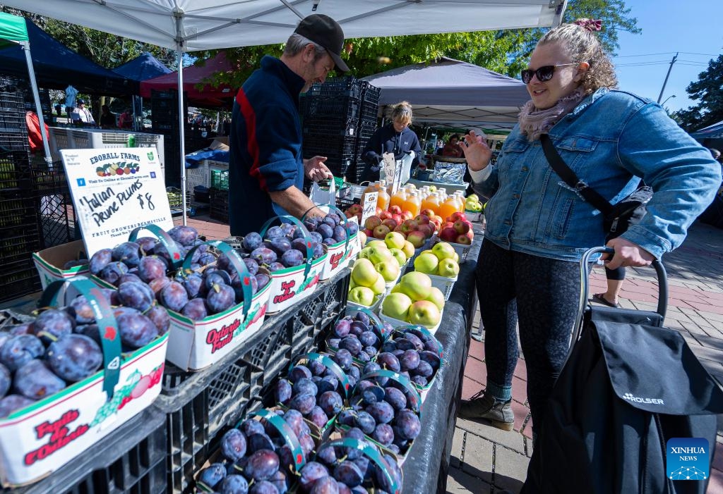 A woman shops at a farmers' market in Toronto, Canada, on Sept. 19, 2023. Canada's consumer price index (CPI) rose 4 percent in August year over year, following a 3.3 percent increase in July, Statistics Canada said Tuesday.(Photo: Xinhua)