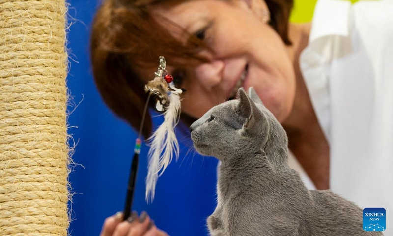 A judge checks a pet cat during the 2023 Canadian Pet Expo in Mississauga, Ontario, Canada, Sept. 17, 2023. The annual two-day event held here from Sept. 16 to 17 attracted many families and their pets.(Photo: Xinhua)