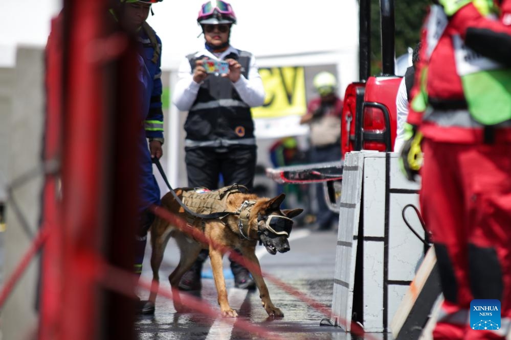 A rescue dog takes part in the Second National Drill 2023, in Mexico City, capital of Mexico, on Sept. 19, 2023.(Photo: Xinhua)