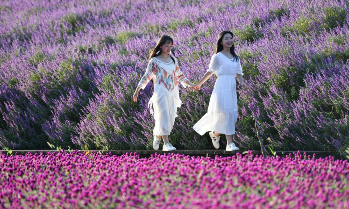 Tourists visit a garden in Majiang County of Qiandongnan Miao and Dong Autonomous Prefecture, southwest China's Guizhou Province, Oct 2, 2023. Photo:Xinhua