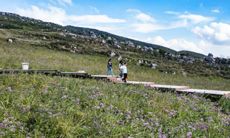 This aerial photo taken on Sept. 22, 2023 shows tourists enjoying the scenery of a scenic area with blooming leek flowers in Dawan Township of Liupanshui City, southwest China's Guizhou Province. (Xinhua/Tao Liang)