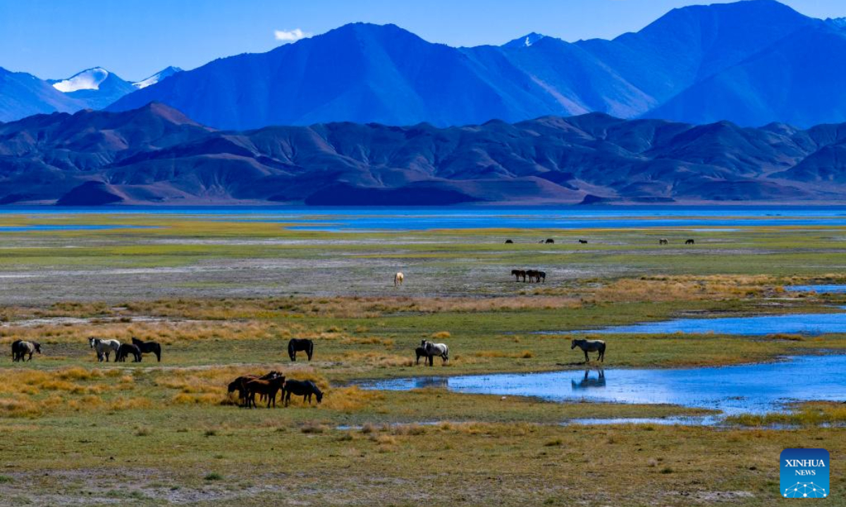 This aerial photo taken on Sep 21, 2023 shows wetlands by the Banggong Co in Rutog County of Ngari Prefecture of southwest China's Tibet Autonomous Region. Photo:Xinhua