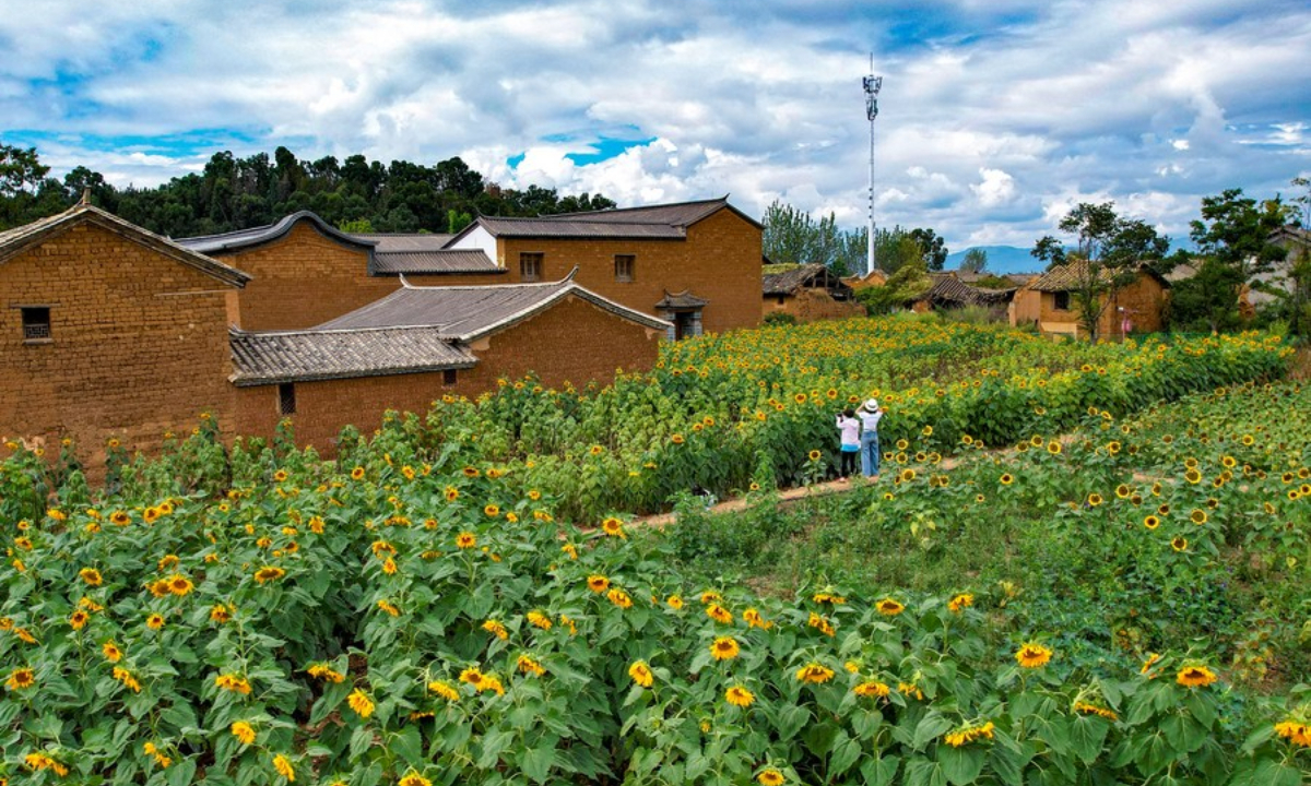 This aerial photo taken on Oct 3, 2023 shows tourists taking photos in a village near Dianchi Lake in Kunming, southwest China's Yunnan Province. Photo:Xinhua