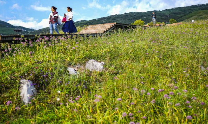 Tourists enjoy the scenery of a scenic area with blooming leek flowers in Dawan Township of Liupanshui City, southwest China's Guizhou Province, Sept. 22, 2023. (Xinhua/Tao Liang)