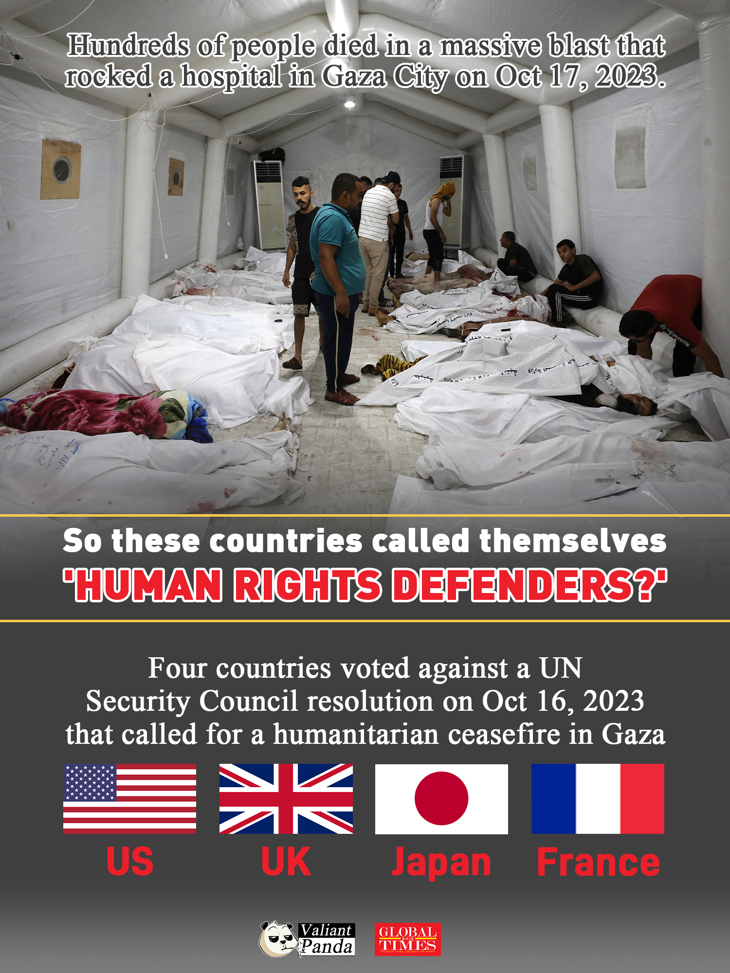 So these countries called themselves ‘human rights defenders?’ Graphic:GT