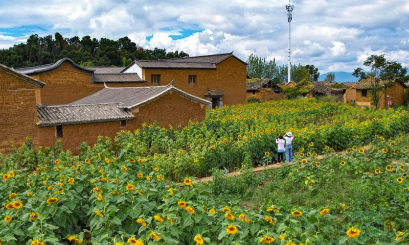 This aerial photo taken on Oct. 3, 2023 shows tourists taking photos in a village near Dianchi Lake in Kunming, southwest China's Yunnan Province.

The Mid-Autumn Festival and National Day holiday period, which lasts from Sept. 29 to Oct. 6 this year, is a peak travel and tourism season in China. (Xinhua/Chen Xinbo)