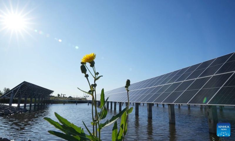 This photo taken on Sept. 19, 2023 shows part of the Xinghuo water surface photovoltaic power station of Daqing Oilfield under PetroChina in Daqing, northeast China's Heilongjiang Province. This power station has an installed capacity of 18.73 megawatts, and its average annual electricity generation is equivalent to that produced by burning 8400 tonnes of standard coal, which in turn reduces carbon dioxide emissions by 22,000 tonnes.(Photo: Xinhua)