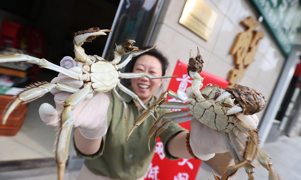 A woman showcases a pair of hairy crabs from Yangcheng Lake in Suzhou, East China's Jiangsu Province on September 25, 2023. This year's harvest begins on Monday, and the hairy crabs can offer consumers traceability by scanning a code. Generally, crabs are enjoyed by the Chinese people during the Mid-Autumn Festival. Photo: VCG