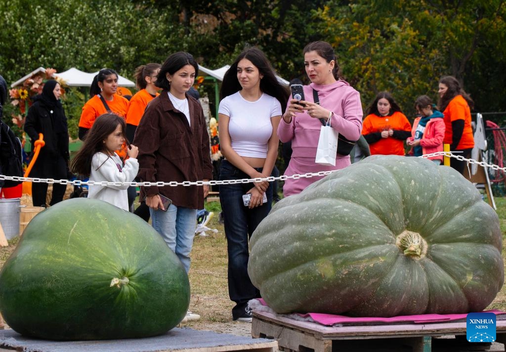 People visit the giant pumpkin contest at the Woodbridge Fall Fair in Woodbridge, Ontario, Canada, Oct. 7, 2023.(Photo: Xinhua)