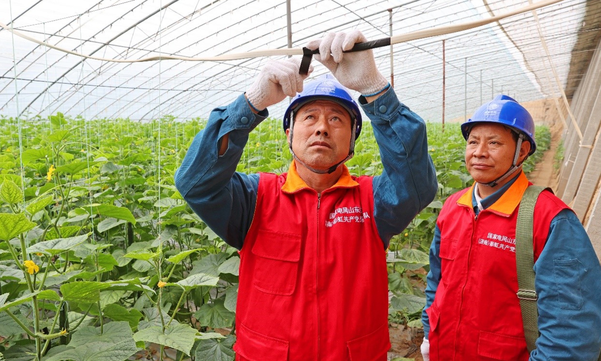 Staff provide electricity services for cucumber farmers