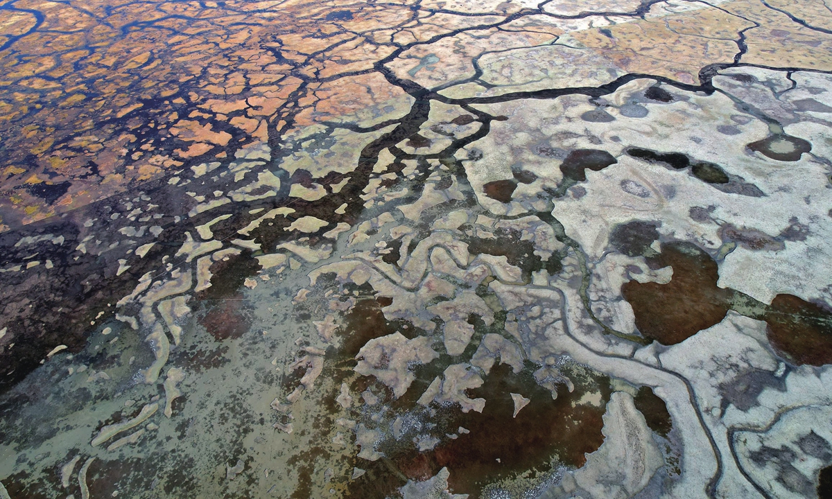 In the late autumn of the wetland in Southwest China's Xizang Autonomous Region, the water system crisscrossed by different terrains formed a colorful picture on October 24, 2023. Photo: IC