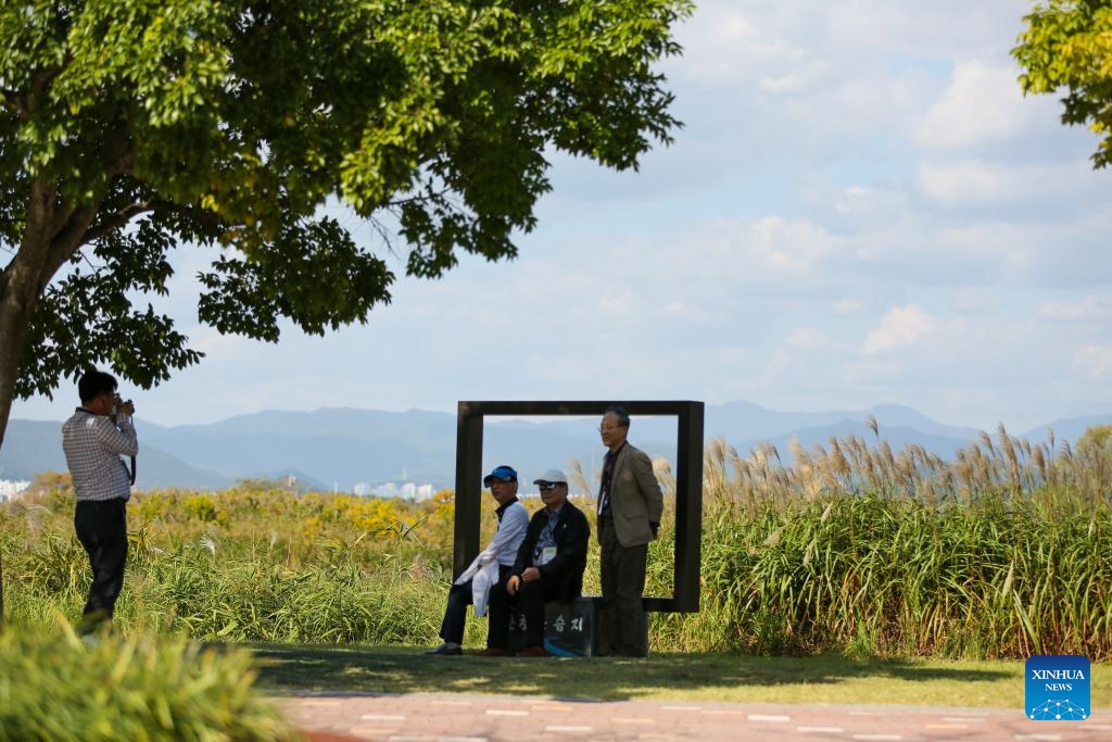 Tourists take photos at Suncheon Bay Wetland Reserve in Suncheon, South Korea, Oct. 11, 2023.(Photo: Xinhua)