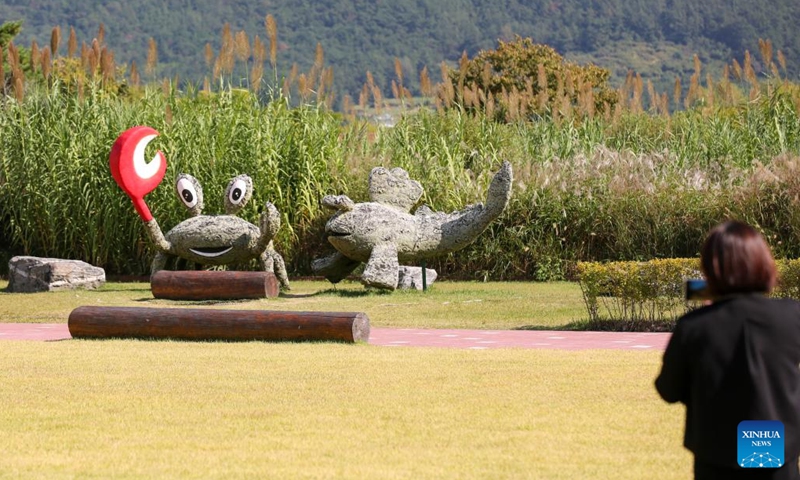 A tourist takes photos at Suncheon Bay Wetland Reserve in Suncheon, South Korea, Oct. 11, 2023.(Photo: Xinhua)