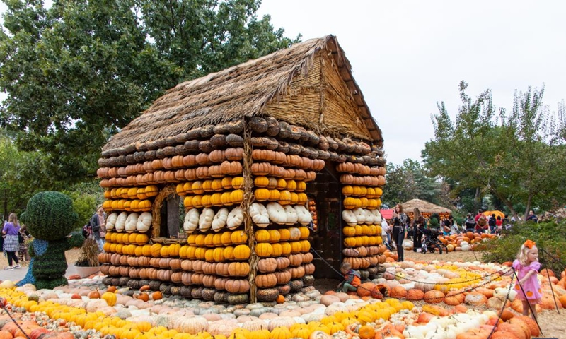 A girl stands in front of a pumpkin house in Dallas Arboretum's Pumpkin Village, Texas, the United States, on Oct. 12, 2023. The nationally-acclaimed Pumpkin Village at Dallas Arboretum features pumpkin houses and creative displays fashioned from more than 100,000 pumpkins, gourds and squash. (Photo:Xinhua)