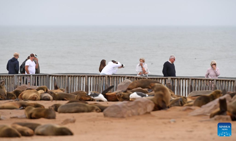 Tourists enjoy themselves in the Cape Cross Seal Reserve, Namibia, Oct. 11, 2023. Namibia's coastline is home to the Cape Cross Seal Reserve, which is one of the largest settlements of Cape fur seals in the world. (Photo: Xinhua)