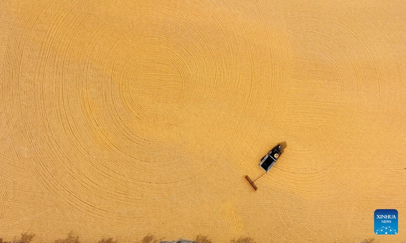 This aerial photo taken on Oct. 12, 2023 shows corn being dried in Tancheng County, east China's Shandong Province. (Photo:Xinhua)