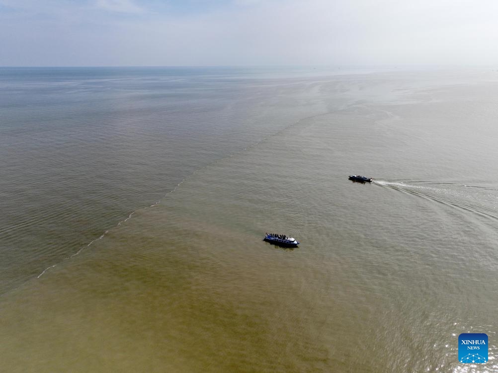 This aerial photo taken on Oct. 12, 2023 shows the Yellow River estuary in Dongying, east China's Shandong Province. The Yellow River, the second longest river in China, originates on the Qinghai-Tibet Plateau and empties into the Bohai Sea from Dongying City.(Photo: Xinhua)