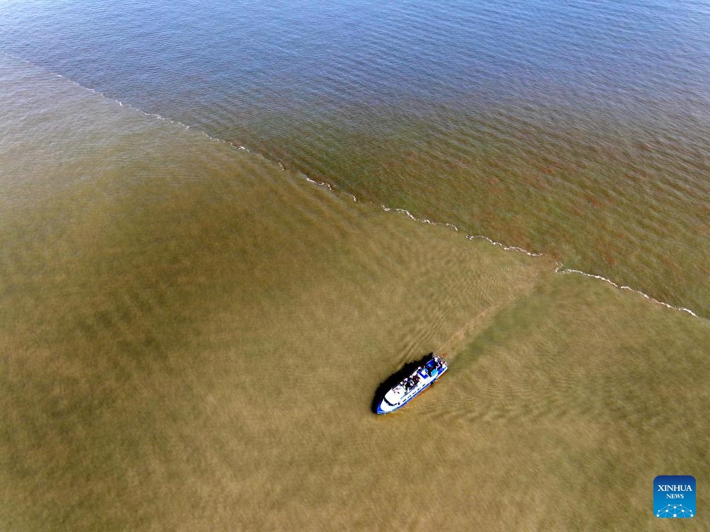 This aerial photo taken on Oct. 12, 2023 shows the Yellow River estuary in Dongying, east China's Shandong Province. The Yellow River, the second longest river in China, originates on the Qinghai-Tibet Plateau and empties into the Bohai Sea from Dongying City.(Photo: Xinhua)