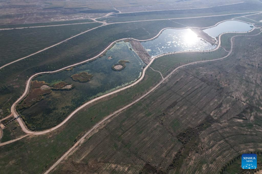 This aerial photo taken on Oct. 16, 2023 shows a view of an ecological management project of Shuifu River at a modern agricultural park in Lanzhou New Area in northwest China's Gansu Province. In 2012, Lanzhou New Area was approved by the State Council as the fifth national level special economic development zone, which is also the first state-level new development area in the northwest of China.(Photo: Xinhua)