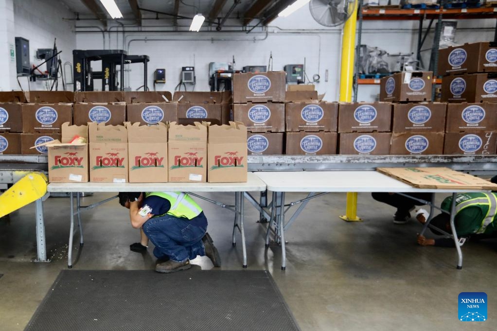 People do a Drop, Cover, and Hold On earthquake drill at the L.A. Regional Food Bank in Los Angeles, California, the United States, on Oct. 19, 2023. An annual earthquake drill was held across the United States on Thursday, in an aim to help people better protect themselves during earthquakes.(Photo: Xinhua)