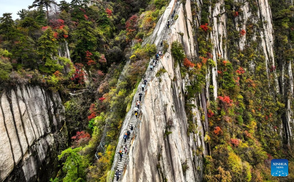 This aerial photo taken on Oct. 19, 2023 shows people visiting Mount Huashan in northwest China's Shaanxi Province.(Photo: Xinhua)
