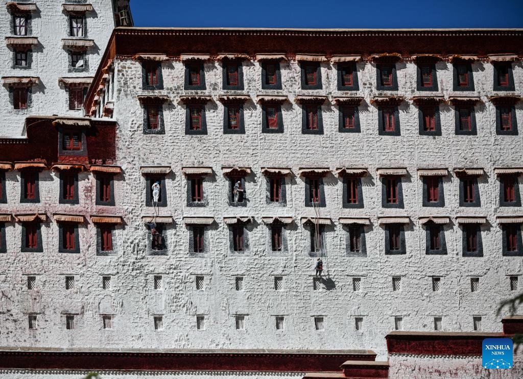 Workers paint the wall of the Potala Palace during an annual renovation of the ancient architectural complex in Lhasa, southwest China's Tibet Autonomous Region, Oct. 18, 2023.(Photo: Xinhua)