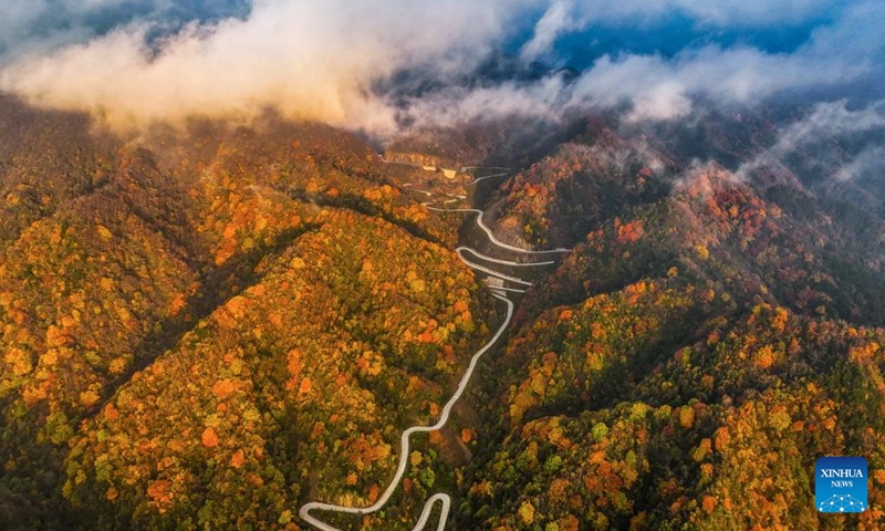 This aerial photo taken on Oct. 22, 2023 shows a scenic road in Liuba County of Hanzhong, northwest China's Shaanxi Province. (Photo: Xinhua)