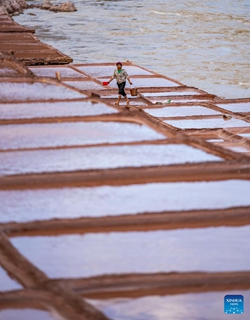 A villager works at a salt field in Naxi Ethnic Township of Markam County in the city of Qamdo, southwest China's Tibet Autonomous Region, Oct. 20, 2023. (Photo: Xinhua)