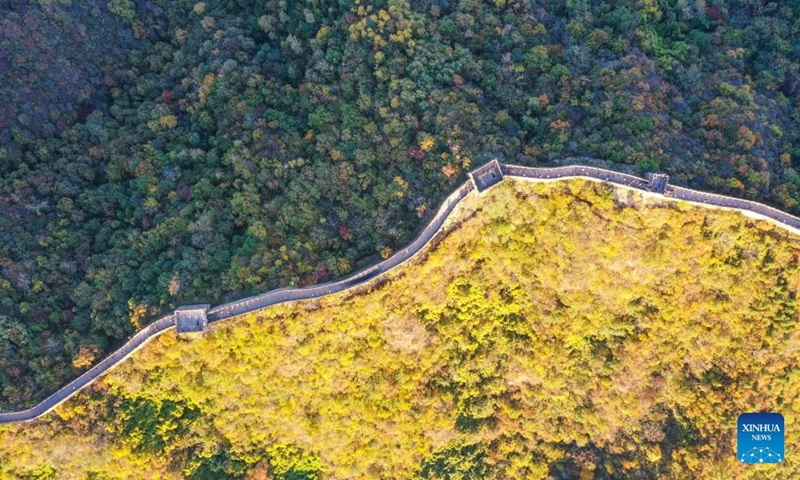 This aerial photo taken on Oct. 21, 2023 shows the autumn scenery of the Mutianyu section of the Great Wall in Beijing, capital of China (Photo: Xinhua)