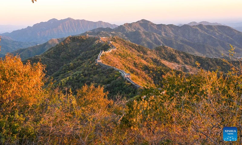 This aerial photo taken on Oct. 21, 2023 shows the autumn scenery of the Mutianyu section of the Great Wall in Beijing, capital of China (Photo: Xinhua)