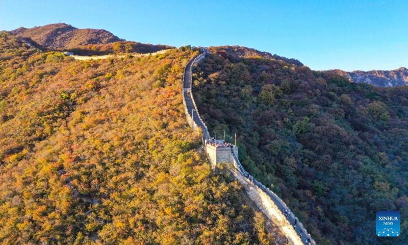 This aerial photo taken on Oct. 21, 2023 shows the autumn scenery of the Mutianyu section of the Great Wall in Beijing, capital of China (Photo: Xinhua)