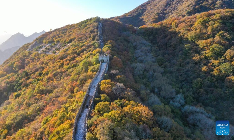 This aerial photo taken on Oct. 21, 2023 shows the autumn scenery of the Mutianyu section of the Great Wall in Beijing, capital of China (Photo: Xinhua)