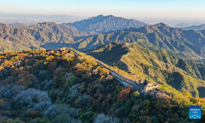 This aerial photo taken on Oct. 21, 2023 shows the autumn scenery of the Mutianyu section of the Great Wall in Beijing, capital of China (Photo: Xinhua)