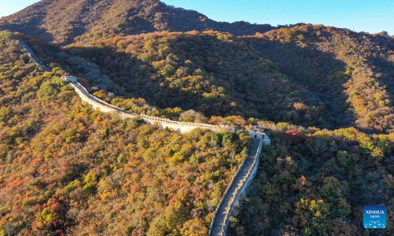 This aerial photo taken on Oct. 21, 2023 shows the autumn scenery of the Mutianyu section of the Great Wall in Beijing, capital of China. (Photo: Xinhua)