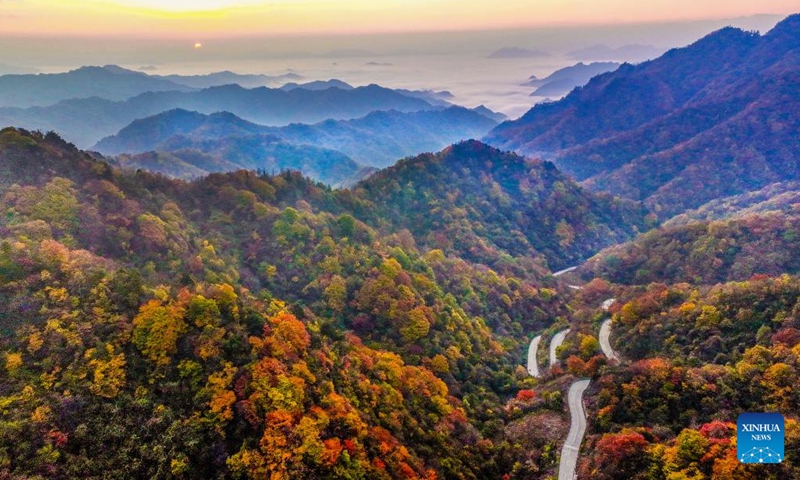 This aerial photo taken on Oct. 22, 2023 shows a scenic road in Liuba County of Hanzhong, northwest China's Shaanxi Province. (Photo: Xinhua)