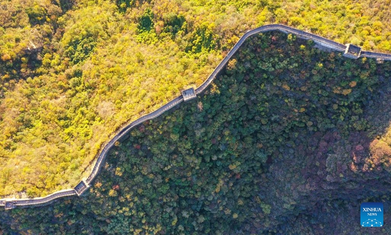 This aerial photo taken on Oct. 21, 2023 shows the autumn scenery of the Mutianyu section of the Great Wall in Beijing, capital of China (Photo: Xinhua)