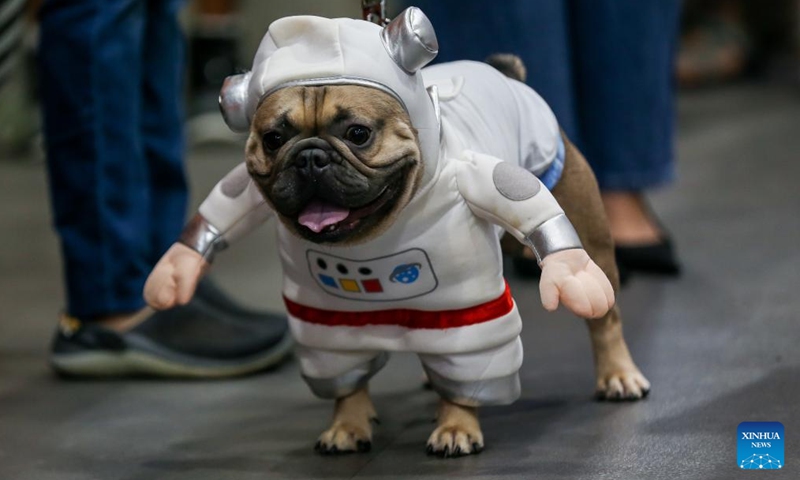 A pet dog dressed in astronaut-themed costume is seen during a costume contest for pet dogs in Quezon City, the Philippines on Oct. 22, 2023. (Photo: Xinhua)