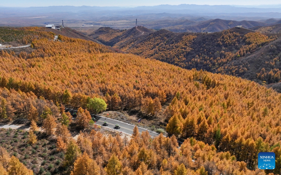 This aerial photo shows the autumn scenery of Daqingshan Mountain in Shangyi County, Zhangjiakou City, north China's Hebei Province, October 14, 2023. In autumn, leaves change color as the temperature falls. Green, yellow, orange, and red hues paint the landscape in north China, creating beautiful color palettes.(Photo: Xinhua)