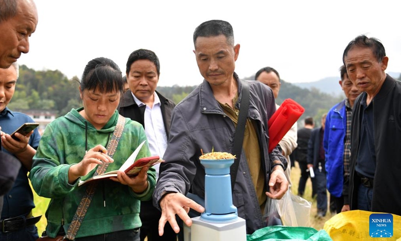 Staff members measure moisture content of ratoon rice in a field in Shuangfeng County of Loudi City, central China's Hunan Province, Oct. 28, 2023. To improve the utilization rate of farmland, Shuangfeng County is trying to experiment with a new agricultural model that enables a field to grow rice, ratoon rice and cole in different seasons of the same year. (Photo: Xinhua)